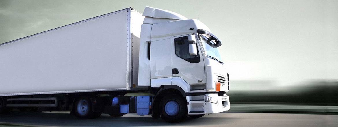 transporte